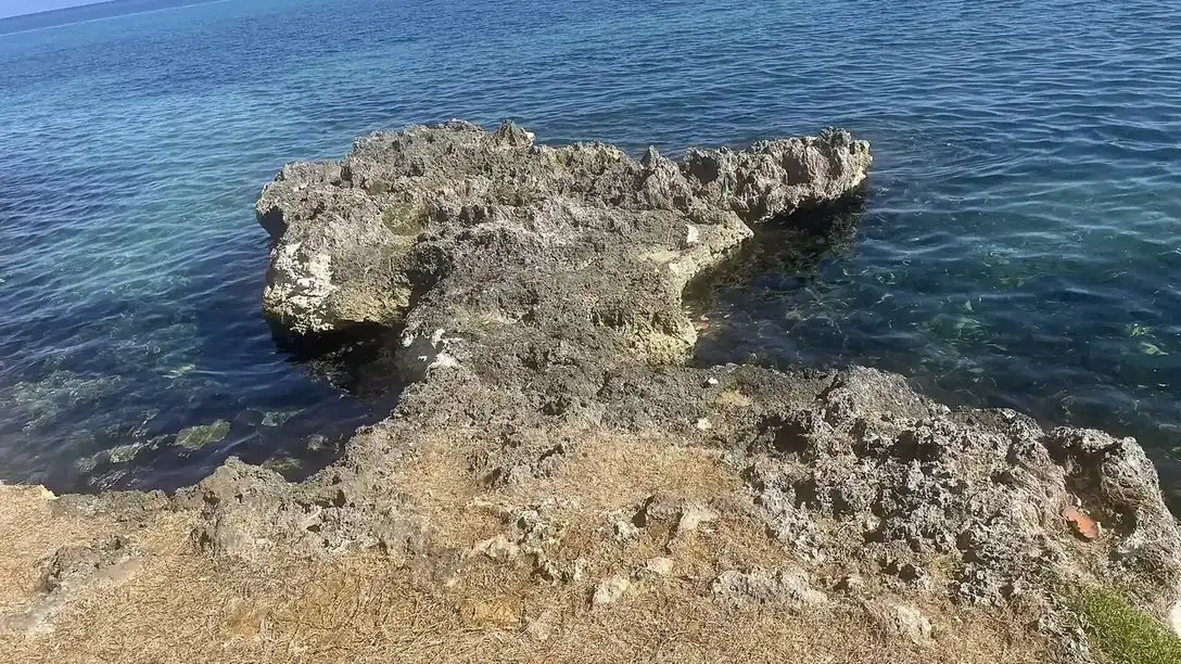 Royalton Negril wedding resort